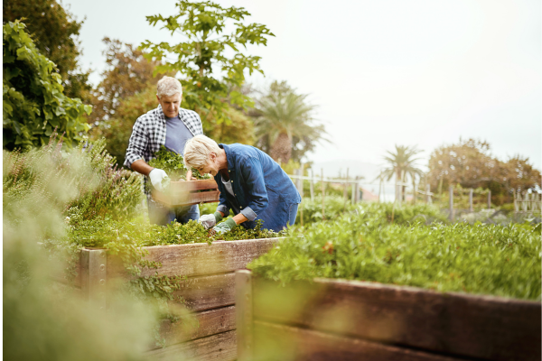 The security and benefits of living in a retirement village