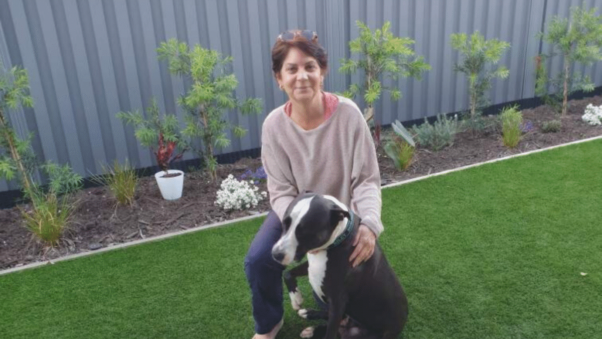 Claws and effect: Pets more welcome as health and mental benefits for residents clear